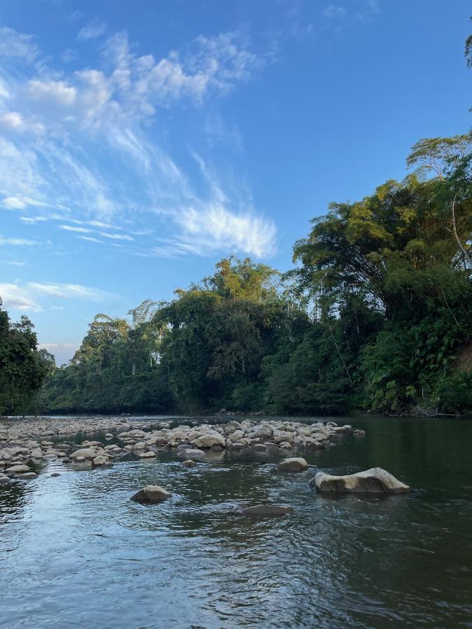 Caoni Riverside Lodge Puerto Quito Exterior photo