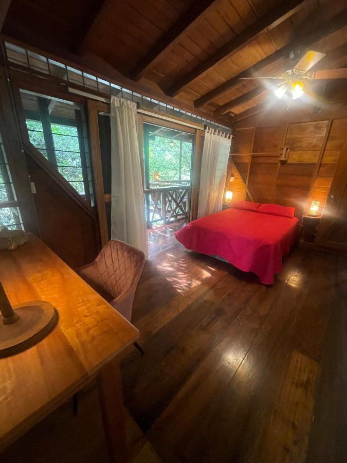 Caoni Riverside Lodge Puerto Quito Exterior photo