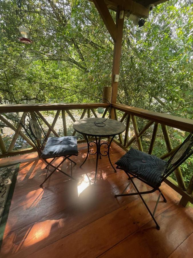 Caoni Riverside Lodge Puerto Quito Exterior photo